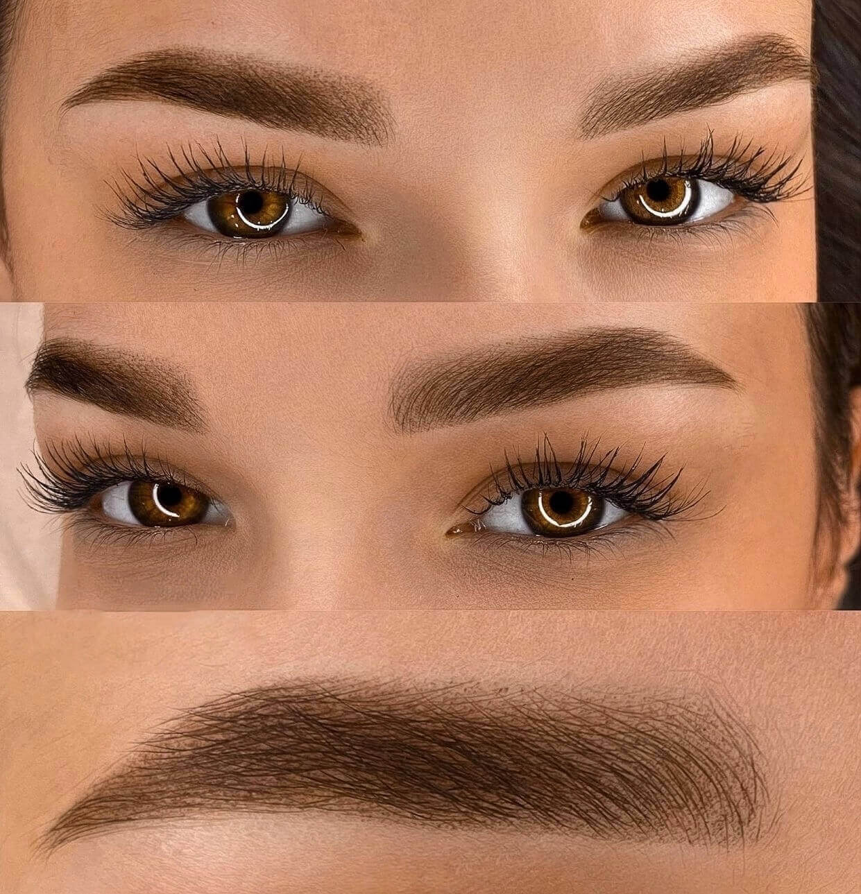 Ombre Powder Brows - 2 Ombre Brows 1 1