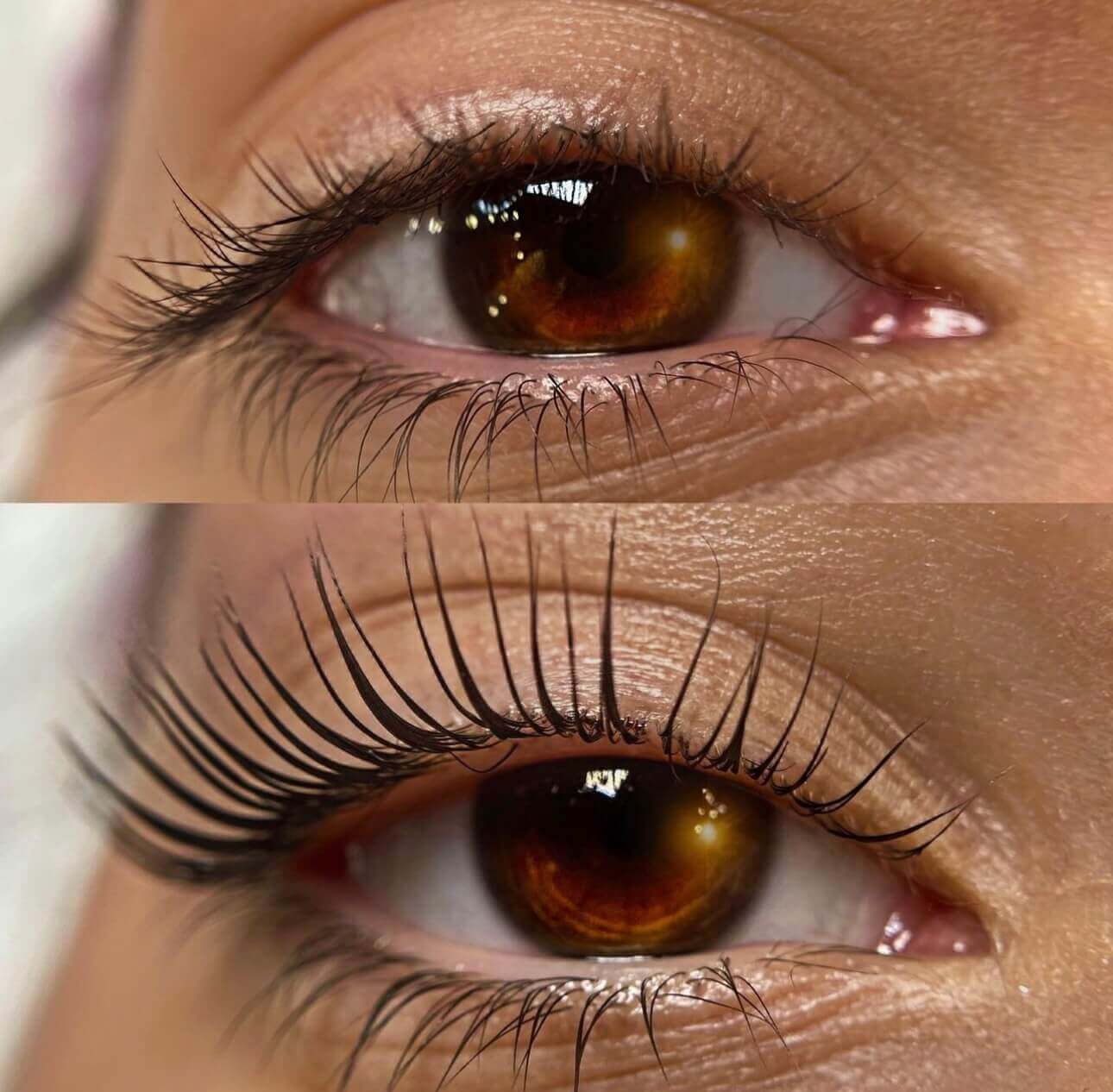 Lash Lift & Tint - 3 lash lift no tint 1 2