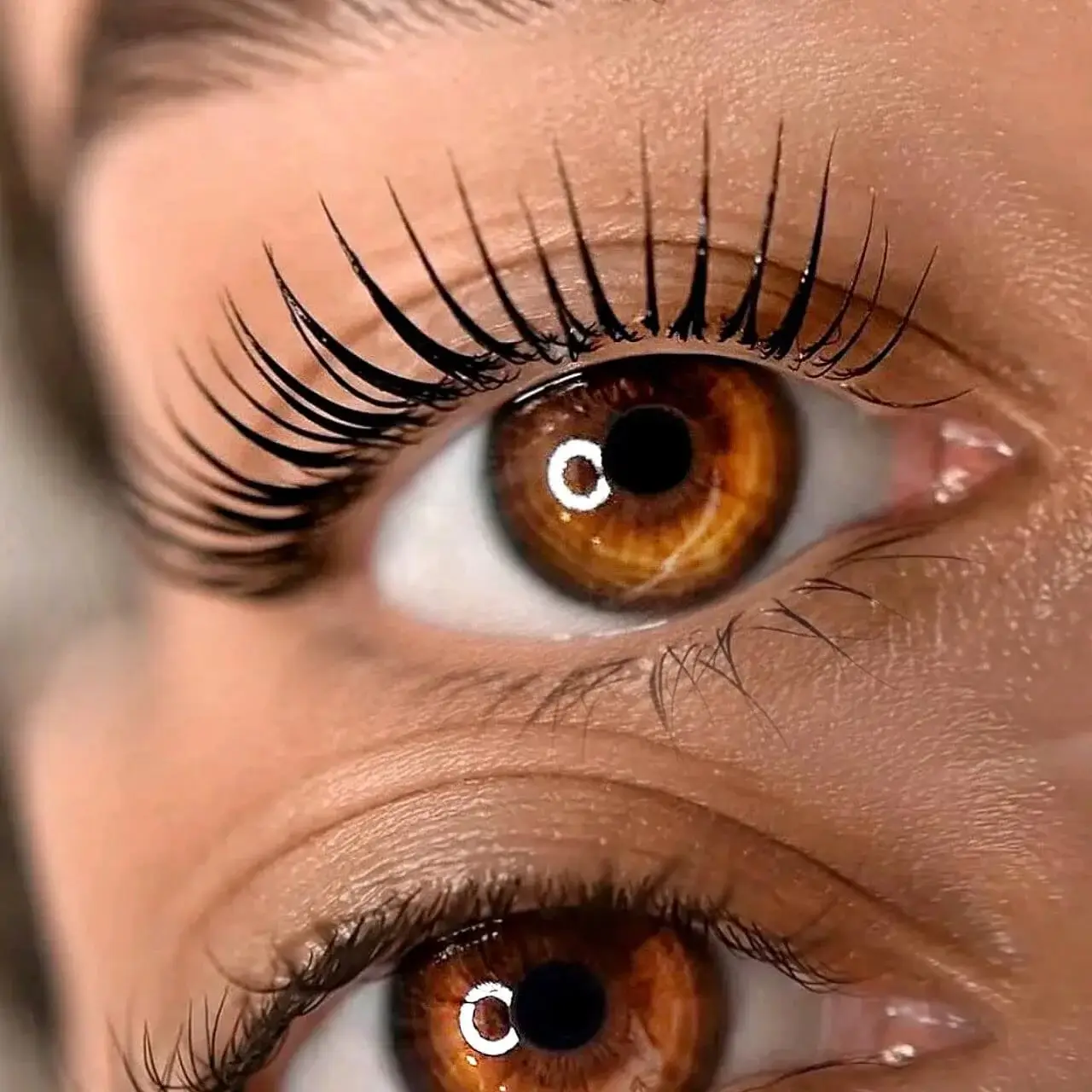 Eyelash Lamination Toronto - batch 4 Lash lifting and tinting service 1 jpg 4