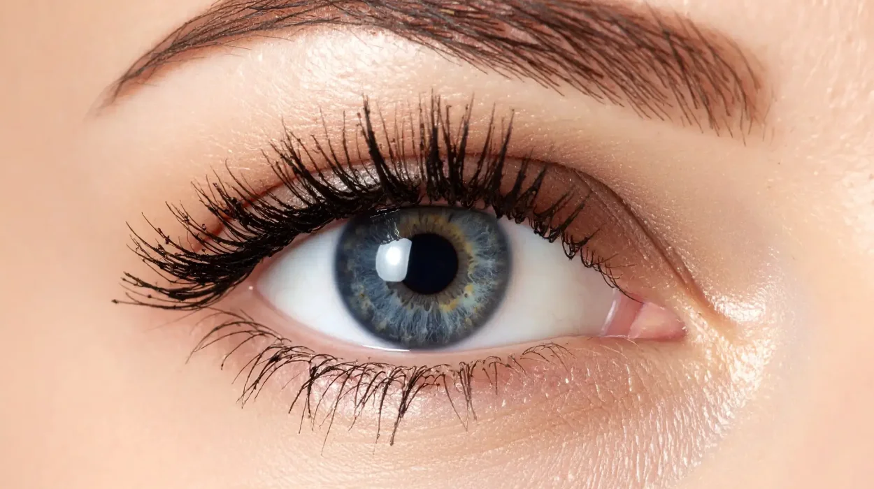 Unlock the Truth: How Fast Do Eyelashes Grow Back & Ways to Speed It Up - с 1 14
